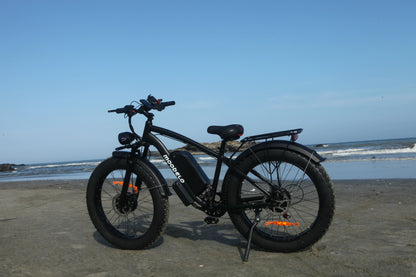 E-Bike  Fat Tires