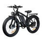 E-Bike  Fat Tires